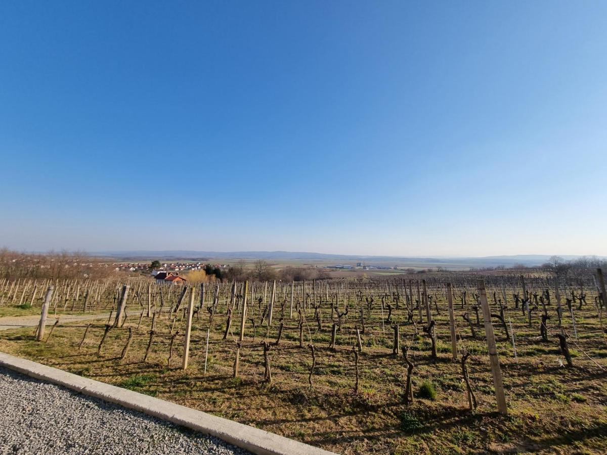 Kuca Za Odmor Baron Kutjevo Exterior foto