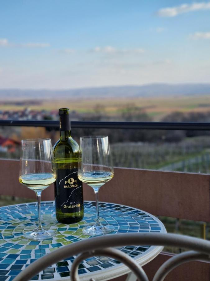 Kuca Za Odmor Baron Kutjevo Exterior foto