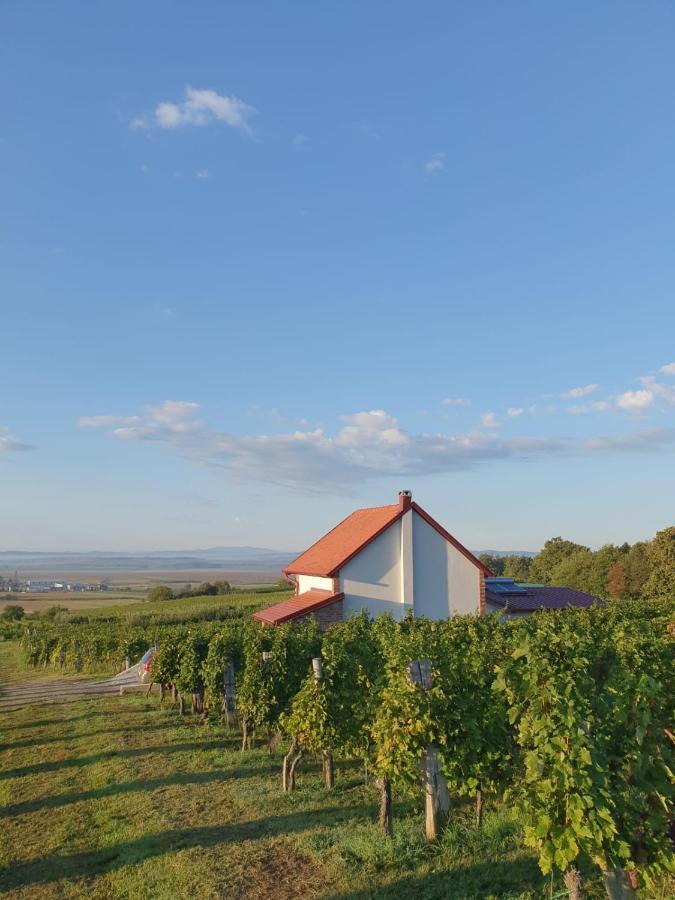 Kuca Za Odmor Baron Kutjevo Exterior foto