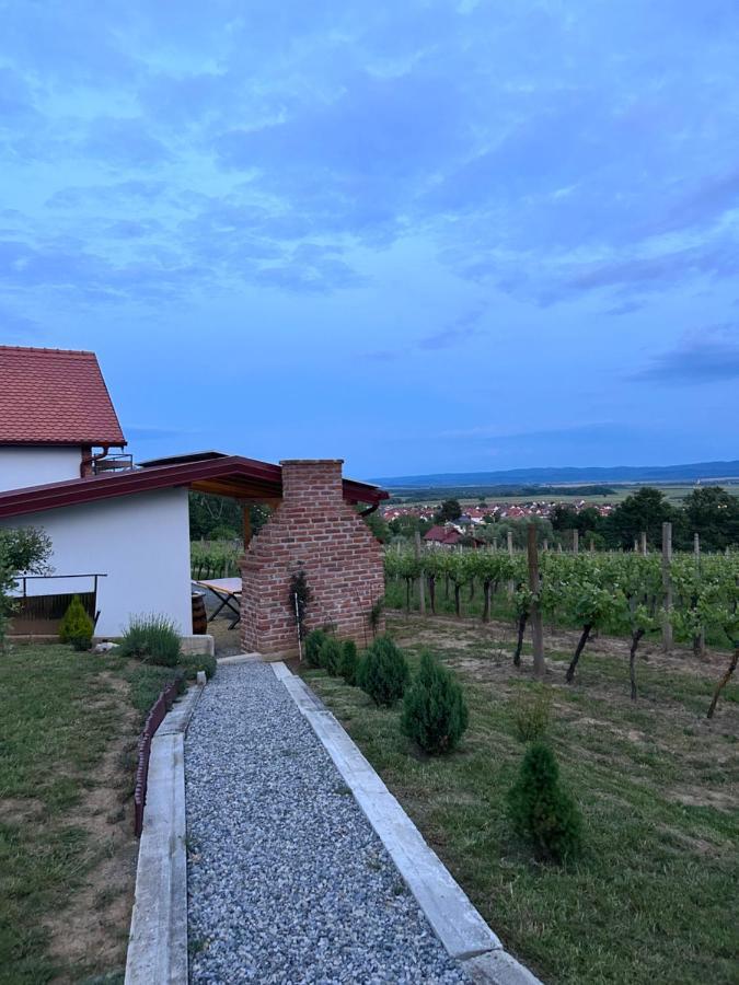 Kuca Za Odmor Baron Kutjevo Exterior foto